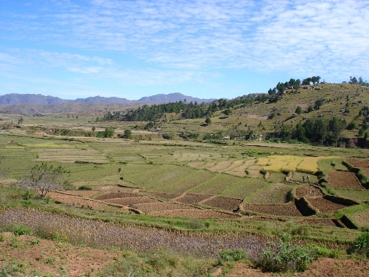 ../Images/Madagaskar, 25.05.-10.06.07, Foto (070).JPG